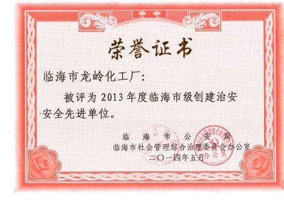 2013年度创安先进单位