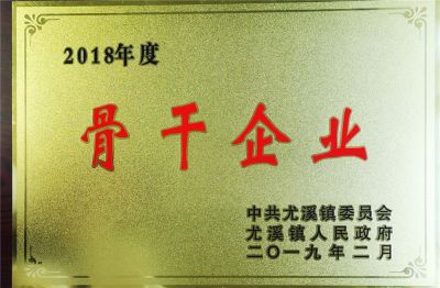 2018年度获得镇骨干企业