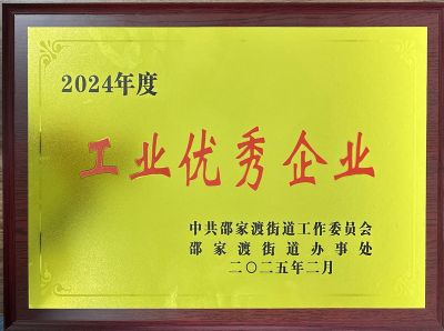 2024年度工业优秀企业